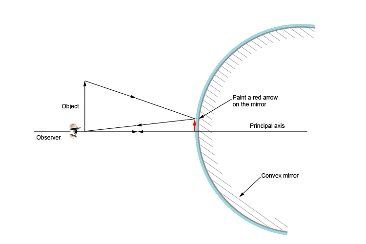Ray diagram showing the painted image an observer can see in a convex mirror
